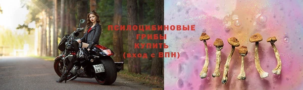 героин Алзамай