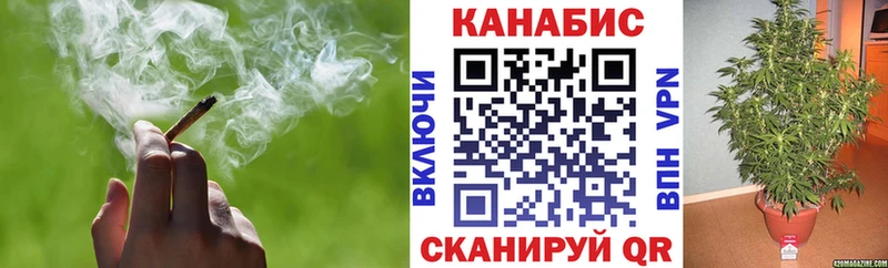 Конопля сатива Саров